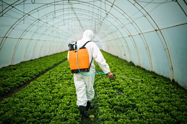 Best Mosquito Control Services  in Rockwood, VA