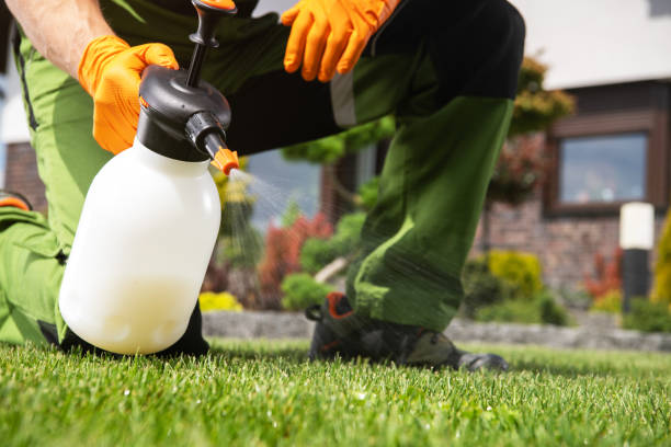 Best Affordable Pest Control Services  in Rockwood, VA