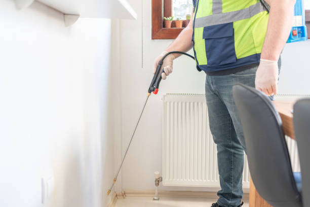 Best Ant Control Services  in Rockwood, VA