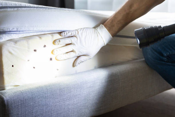 Best Pest Control for Businesses  in Rockwood, VA