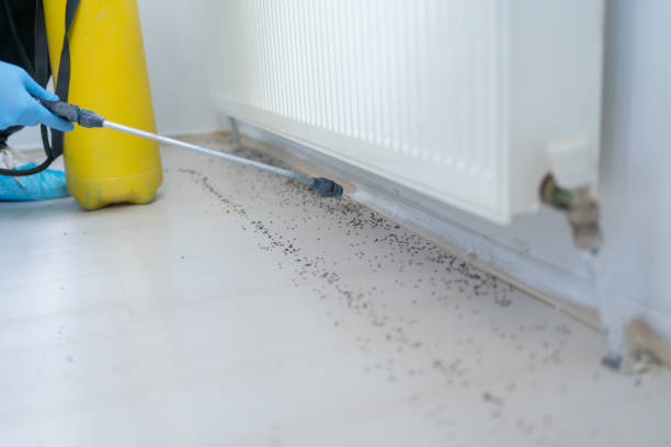 Best Pest Inspection Near Me  in Rockwood, VA